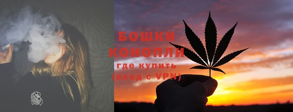 apvp Козельск