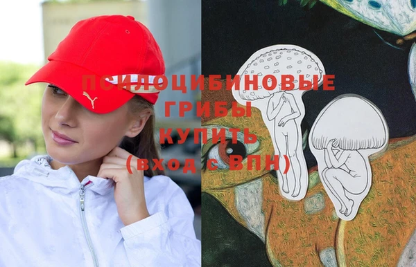 дмт Протвино