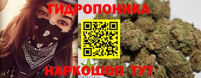 шишки Азнакаево