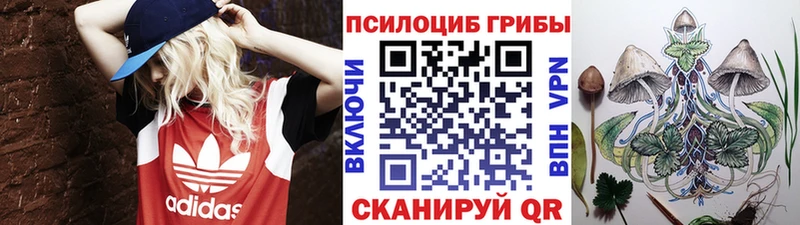 закладка  гидра ссылки  Псилоцибиновые грибы мицелий  Азнакаево 