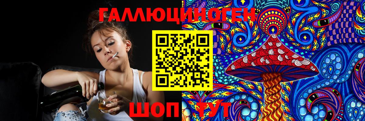 Галлюциногенные грибы Psilocybine cubensis Азнакаево